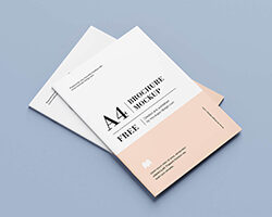 Brochures